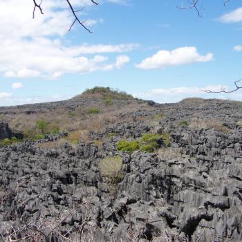 De grand Tsingy's in Ankarana Noorden Madagaskar