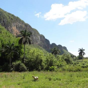 Valle de Vinales