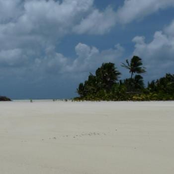 Honeymoon Island