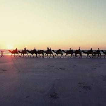 Kamelentocht in Broome