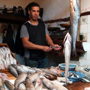 Visboer in de medina van Fez