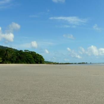 Cape Tribulation