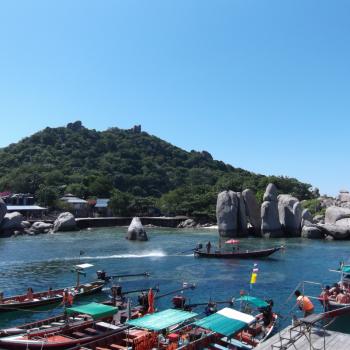 Koh Tao 