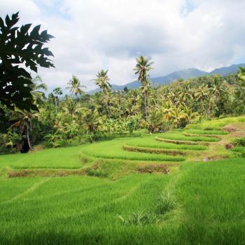 Ubud
