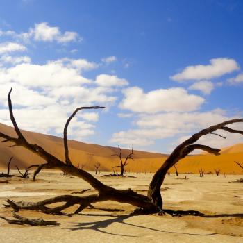 Sossusvlei 