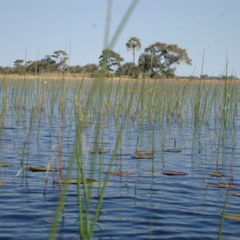 Een mokoro-trip over de Okavanga Delta