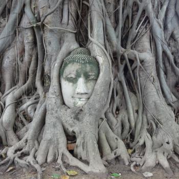 Prachtige plek in Ayutthaya