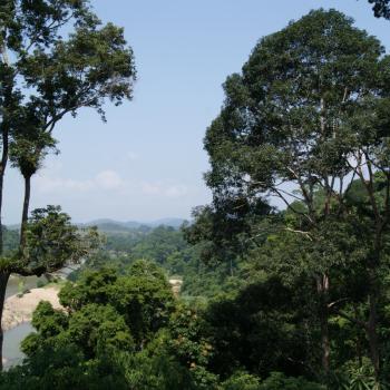 Taman Negara