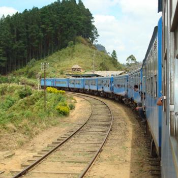 Trein van Nanu Oya naar Ella door de theeplantages