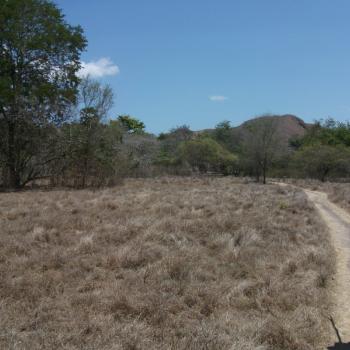 Wandeling over Rinca