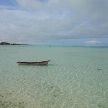 Zanzibar, een pareltje.