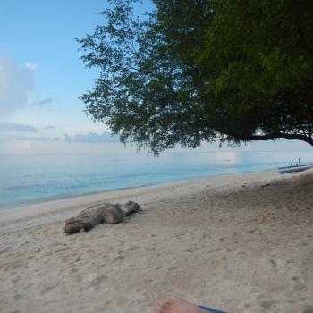 Gili Meno