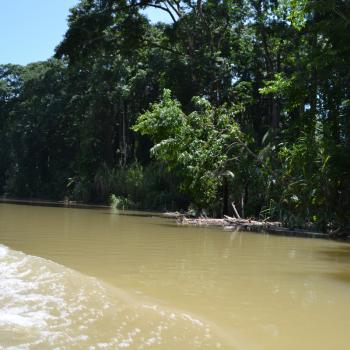 Onderweg naar Tortuguero