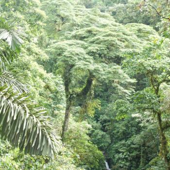 Hanging Bridges bij La Fortuna