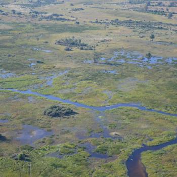Scenic flight over de Okavango Delta