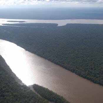 De jungle gezien van boven; niets is mooier
