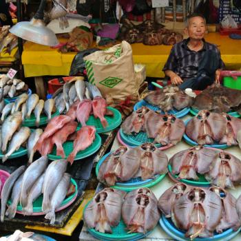 Vismarkt van Busan