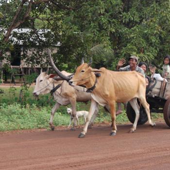 Vriendelijk bevolking in Cambodja
