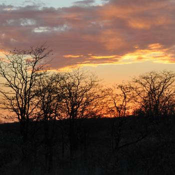 Zonsondergang in Kruger Park