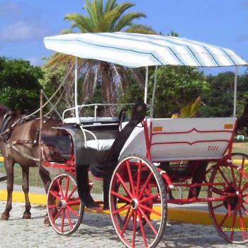 met paard en wagen langs de mooie stranden