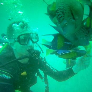 Duiken in Qatar; het kan bij Sealine Beach