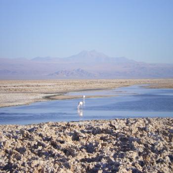 Zoutmeer San Pedro de Atacama