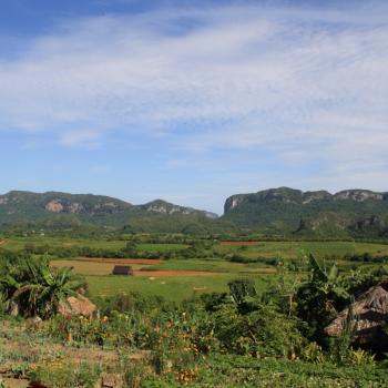 Vinales