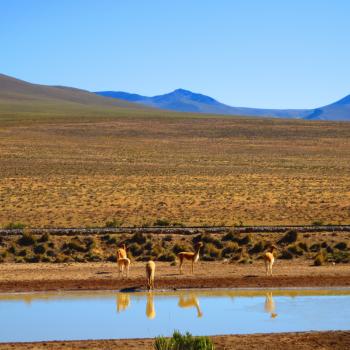 Mooie landschap van Peru