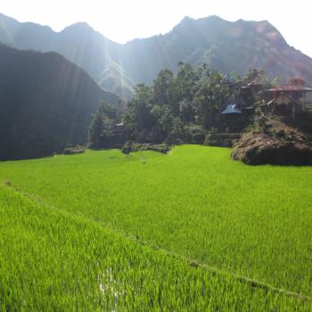 Banaue rijstterrassen 