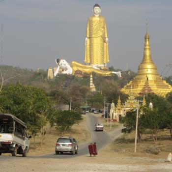 Boom Boeddha 135 meter.