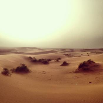 Woestijn in Merzouga