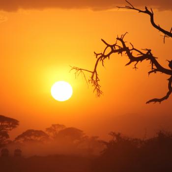 Zonsondergang in Nationaal Park Amboseli
