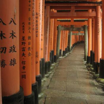 Fushimi-inari taisha, endless shrine gates