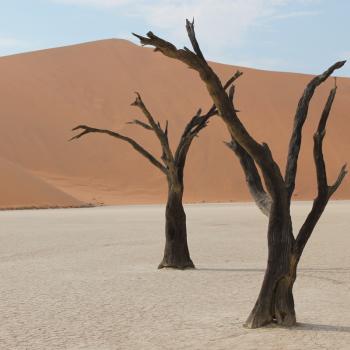 Deadvlei