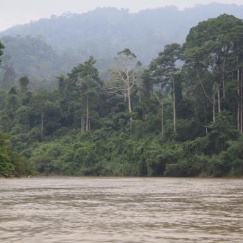 Kolkende rivier in de Taman Negara