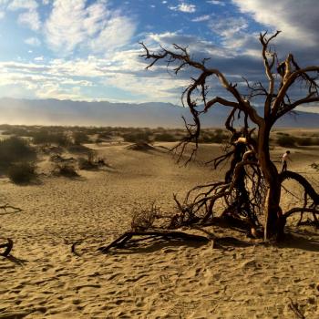 Sanddunes @ Death Valley