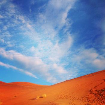 Sahara