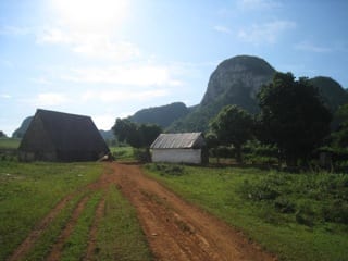 vinales