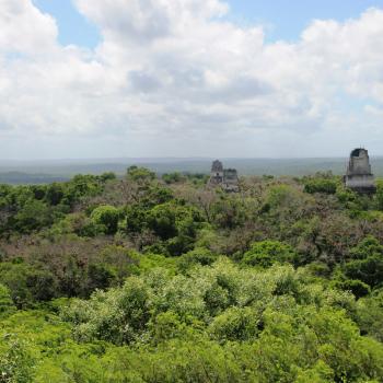 Het uitzicht van de hoogste tempel in Tikal