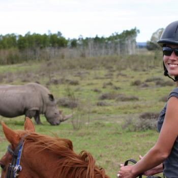 Plettenberg Bay Game Reserve