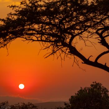 Adembenemende zonsopkomst in Zuid-Afrika