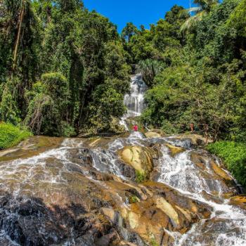 Jungle watervallen