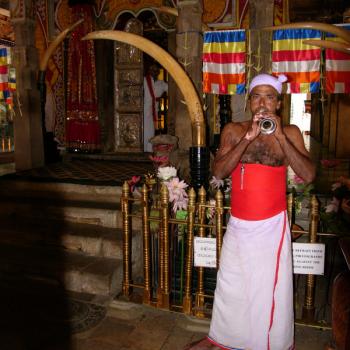 de tempel van de tand