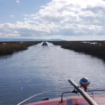 Rietvelden voor Uros eilanden op meer Titicaca
