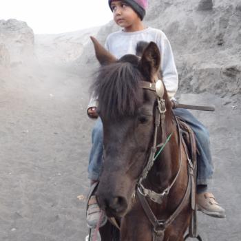mount bromo