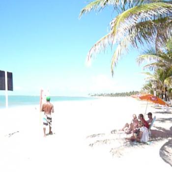 Porto da galinhas