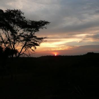 An African night
