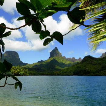 Opunohu Bay
