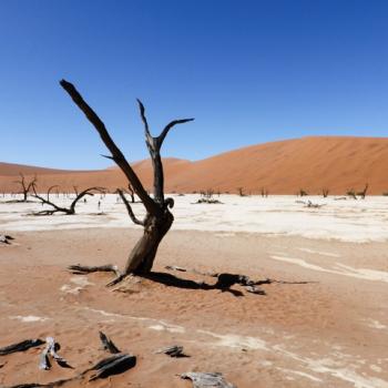 Dead Vlei