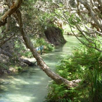 Eli Creek op Fraser Island